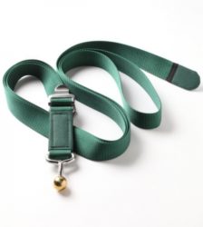 Wall Belt